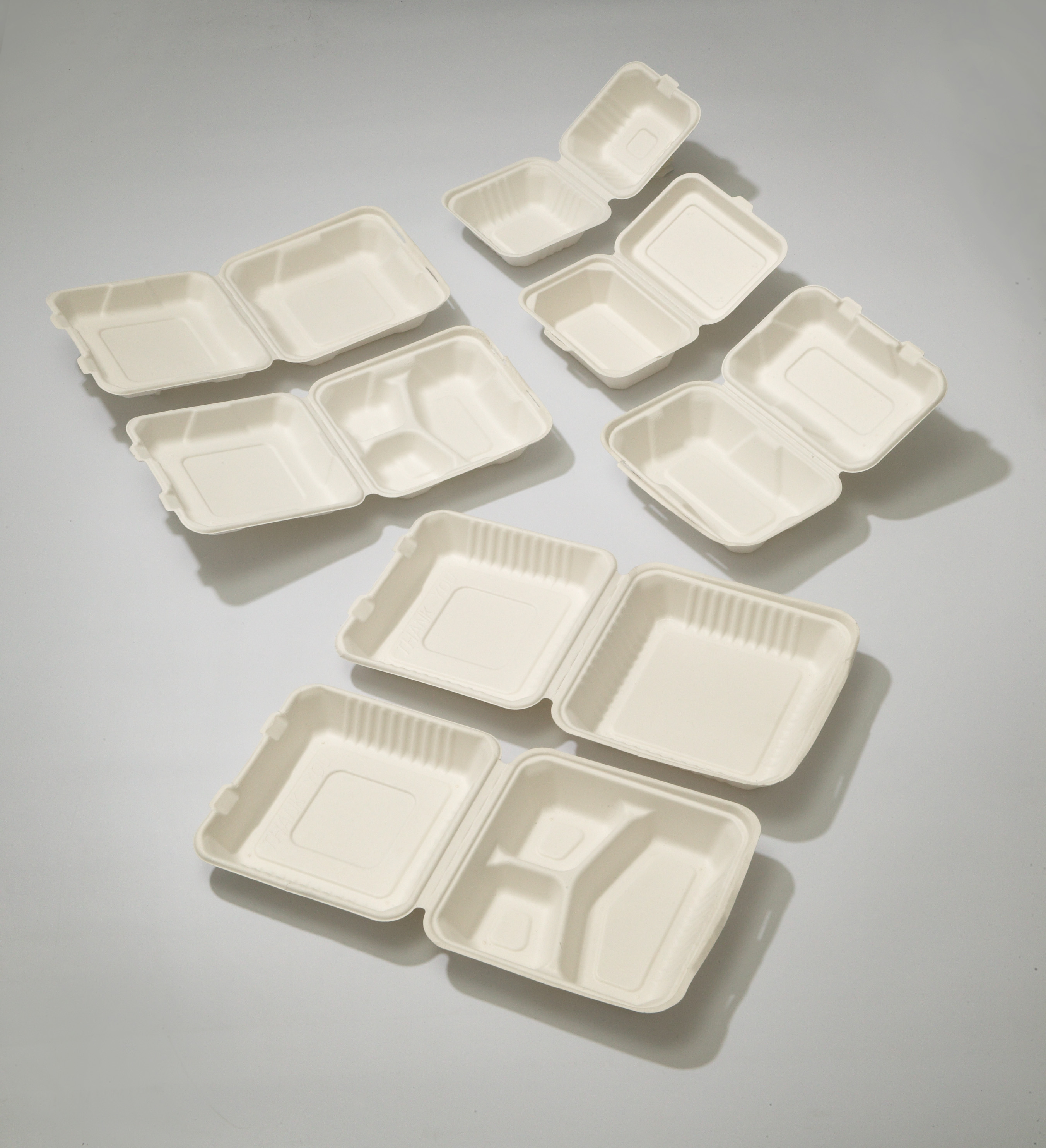 Bagasse Dinner Box, 1-fach, 228x230x80 mm (LxBxH)