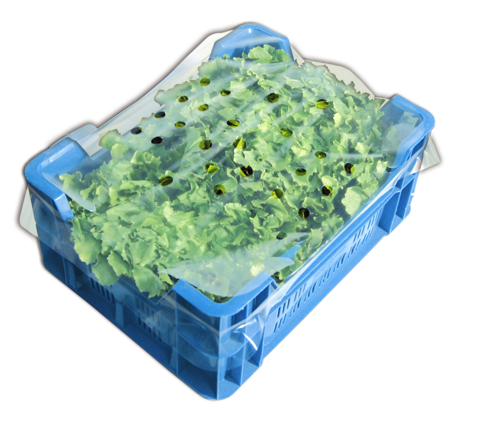 LDPE-Kistenabdeckungen 450x660 mm, transparent