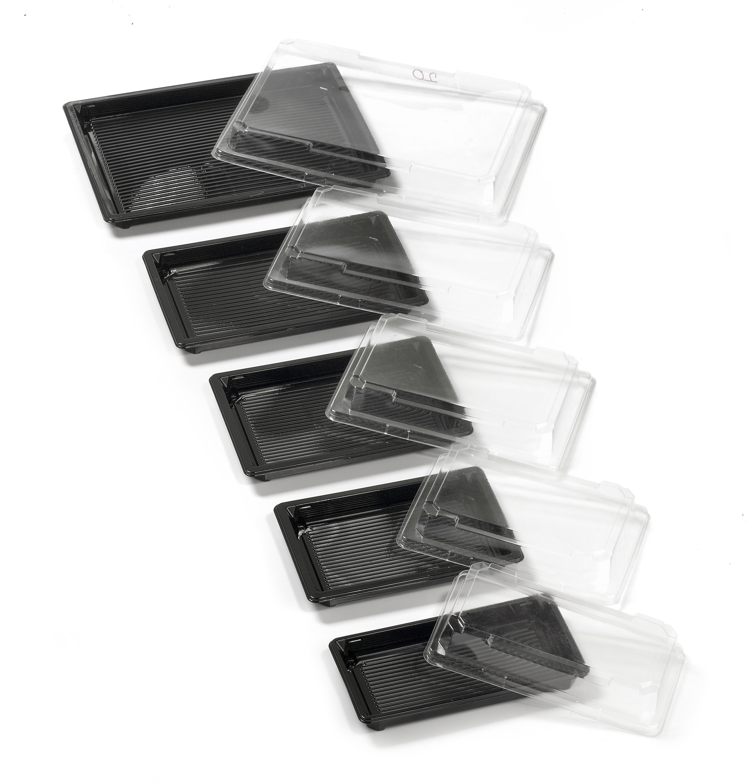 Sushi Combi groß    255x185/        200/200 PCS