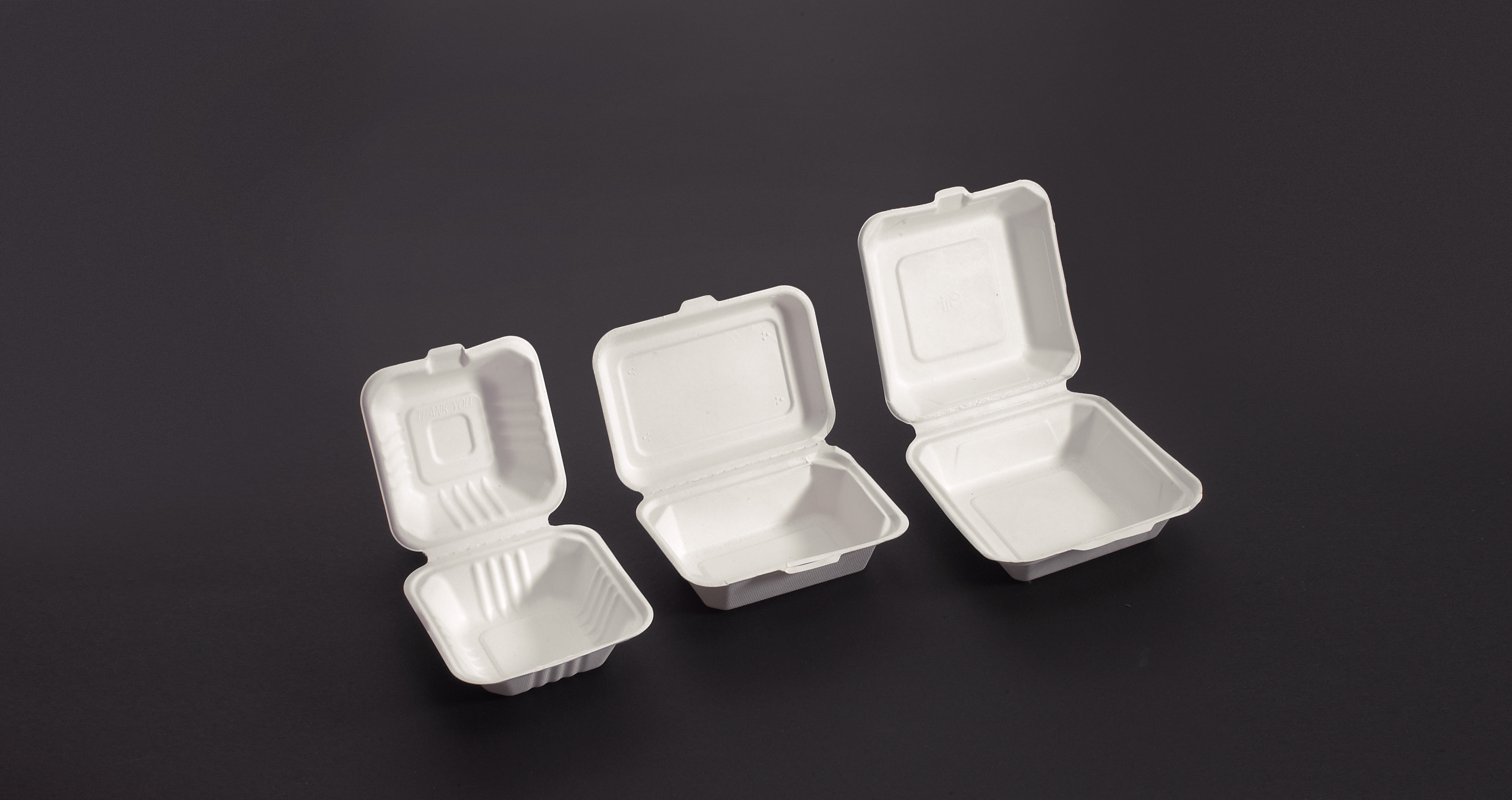 Bagasse Lunch Box FHB 9, 185x155x75 mm